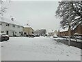 Garford Crescent in the snow