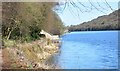 Rudyard lake.