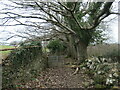 Giât ar y llwybr / Gate on the path