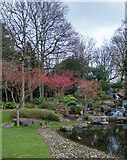 TQ2479 : Kyoto Garden, Holland Park by Free Man