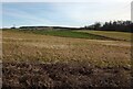 NS9294 : Farmland near Gartmorn Dam by Jim Smillie