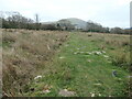 Llwybr troed ar y sarn / footpath on a causeway