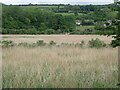 Gwendraeth Fach valley