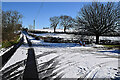 Snow along Drumconnelly Road