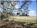 House at top of field