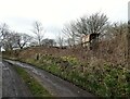 Old wall beside Tanfield Leith Farm