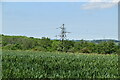 Pylon in wheat field