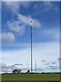 ST1174 : Wenvoe television mast by Alan Hughes