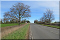 On the A1304 in early March