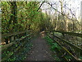 Featherbed Lane woodland path, Apsley