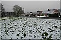 Snow on Murren Avenue