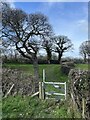 Metal stile near Stokyn Hall