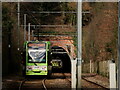 Tramlink