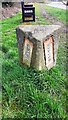 Rigton/Weeton boundary stone on verge on NE side of Woodgate Lane