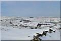 Winter on the moors