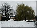 Merrow Park - March Snow