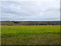 Cooks Hop Garden/House Meadow