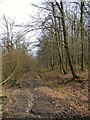 Fletching 38 Public Footpath