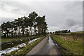 Approaching New Alston