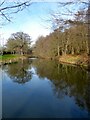 TQ4623 : Pond, Furnacebank Wood by Simon Carey