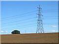 Cropfield and pylon near Burton Hastings in Warwickshire