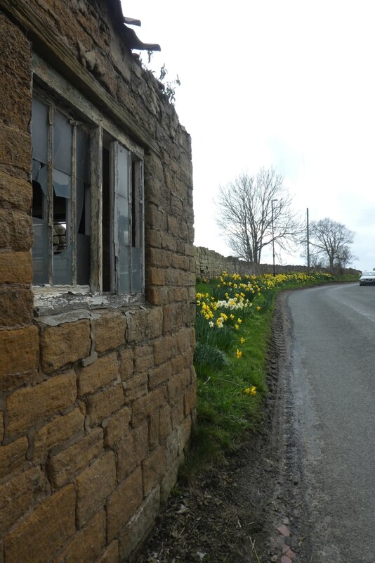 Barn And Daffodils In Bramham © Ds Pugh Cc By Sa20 Geograph Britain And Ireland 