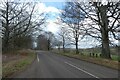 Cattle Lane in Barwick Lodge Plantation