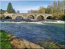 SS9307 : Tiverton : Bickleigh - River Exe by Lewis Clarke