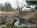 Woodland burn, Tanfield Lea