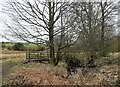 Footbridge over the woodland stream