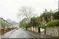 Decoy Road, Newton Abbot