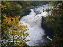 NS8841 : Falls of Clyde at New Lanark : The Upper Fall at Corra Linn by Richard West