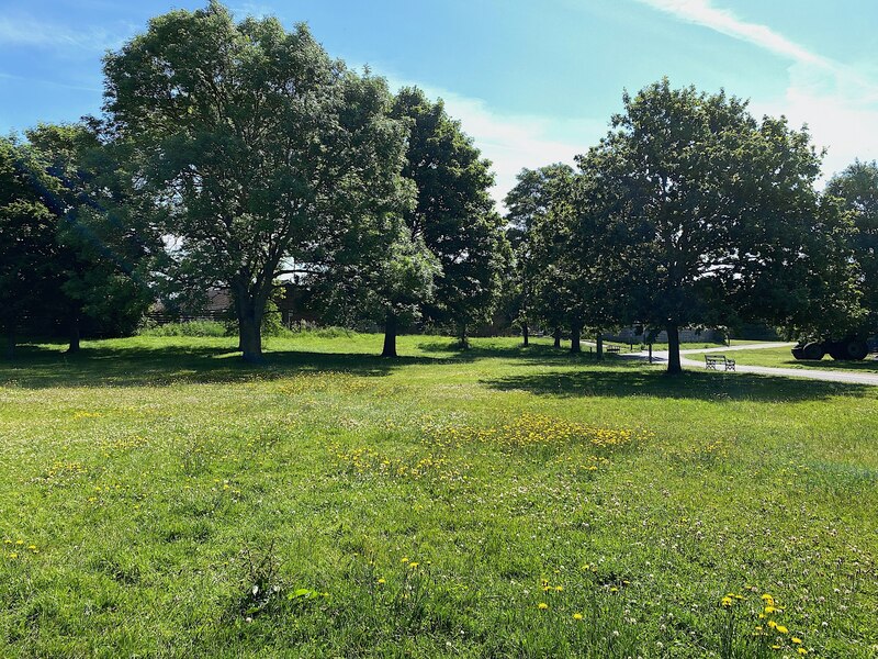 Wildflowers, St Nicholas Park, Warwick © Robin Stott cc-by-sa/2.0 ...