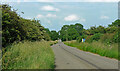 Country road near Wycomb (2)