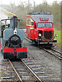 SK2406 : Statfold Barn Railway - Roger and the Goose by Chris Allen