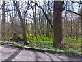 Woodland below Silver Lane