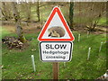 Slow Hedgehogs Crossing road sign near Swyre Farm (2)