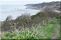 Path on the top of Minster Cliffs