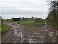 Bridleway passing  Gatewood Farm