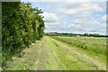 Grassy footpath