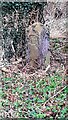 Stone post, with carved 1837, in south corner of woodland at Catgallows Hill