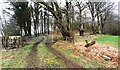 Track into woodland at Howgate Head on south side of A6071