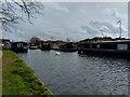 Surveying the marina