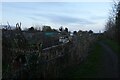 Hempland Lane Allotments