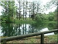 Pond in the Glenmorangie Distillery grounds