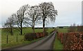 Access road to Droystone, a farm