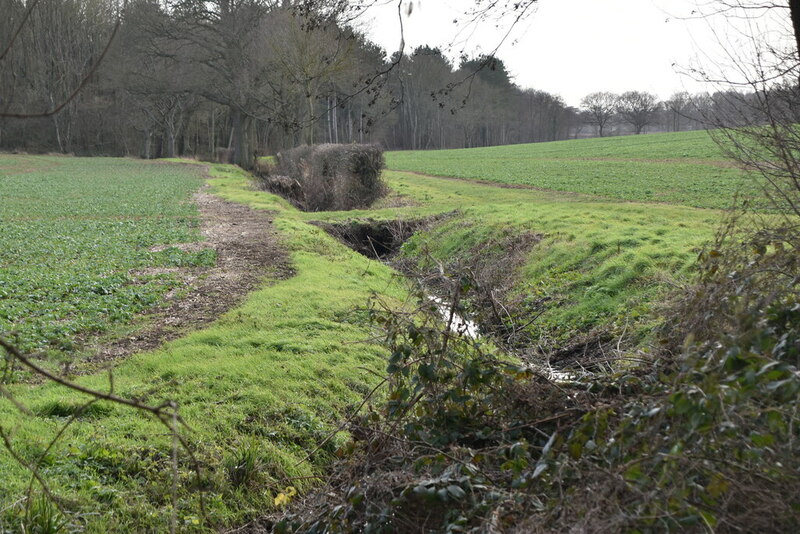 Stream in field © N Chadwick cc-by-sa/2.0 :: Geograph Britain and Ireland