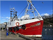 NT9464 : Bright Ray berthed at Eyemouth Harbour at High Tide by Jennifer Petrie