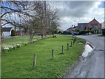 SJ5236 : Village green at Hollinwood by Andrew Shannon