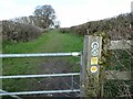 Footpath with waymarker discs